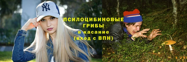 твердый Горняк