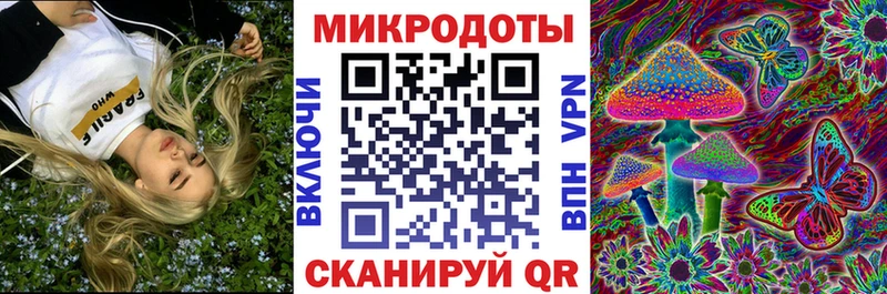 Псилоцибиновые грибы GOLDEN TEACHER  MEGA вход  Далматово 