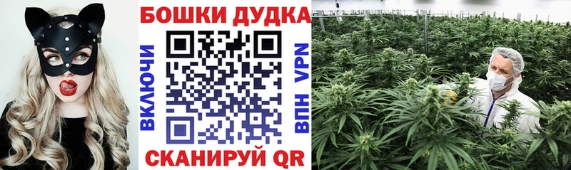 Бошки марихуана VHQ Далматово