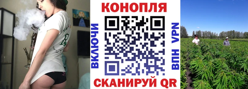 mega ссылка  Далматово  Каннабис SATIVA & INDICA  как найти  